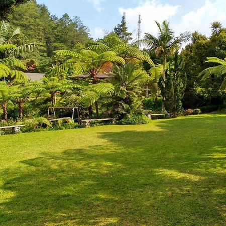 Warung Rekreasi Bedugul Hotel Luaran gambar
