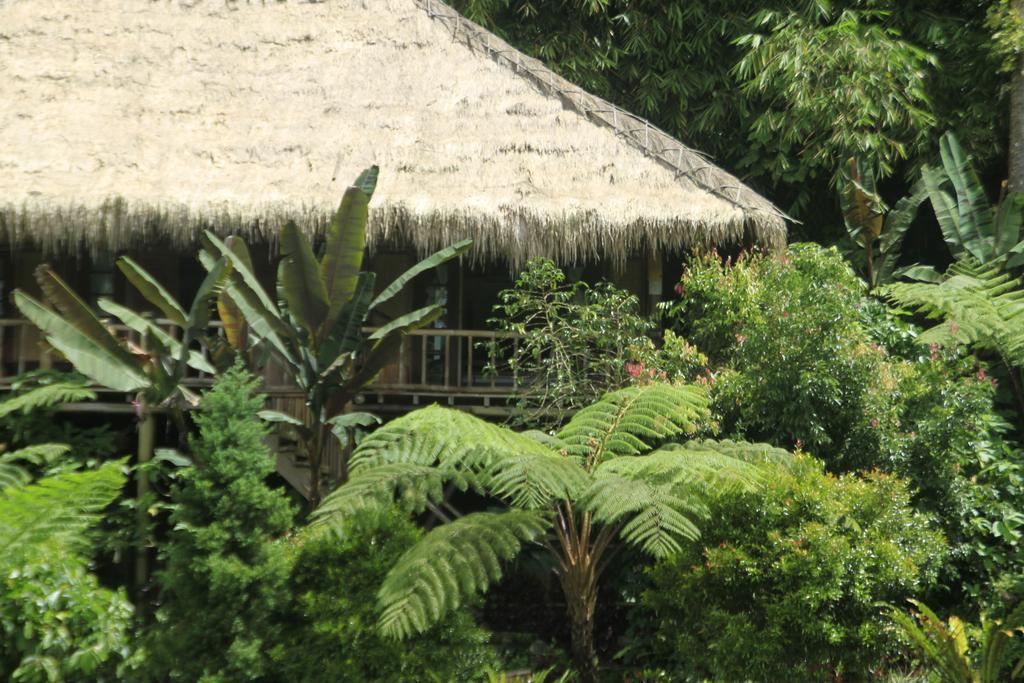 Warung Rekreasi Bedugul Hotel Bilik gambar