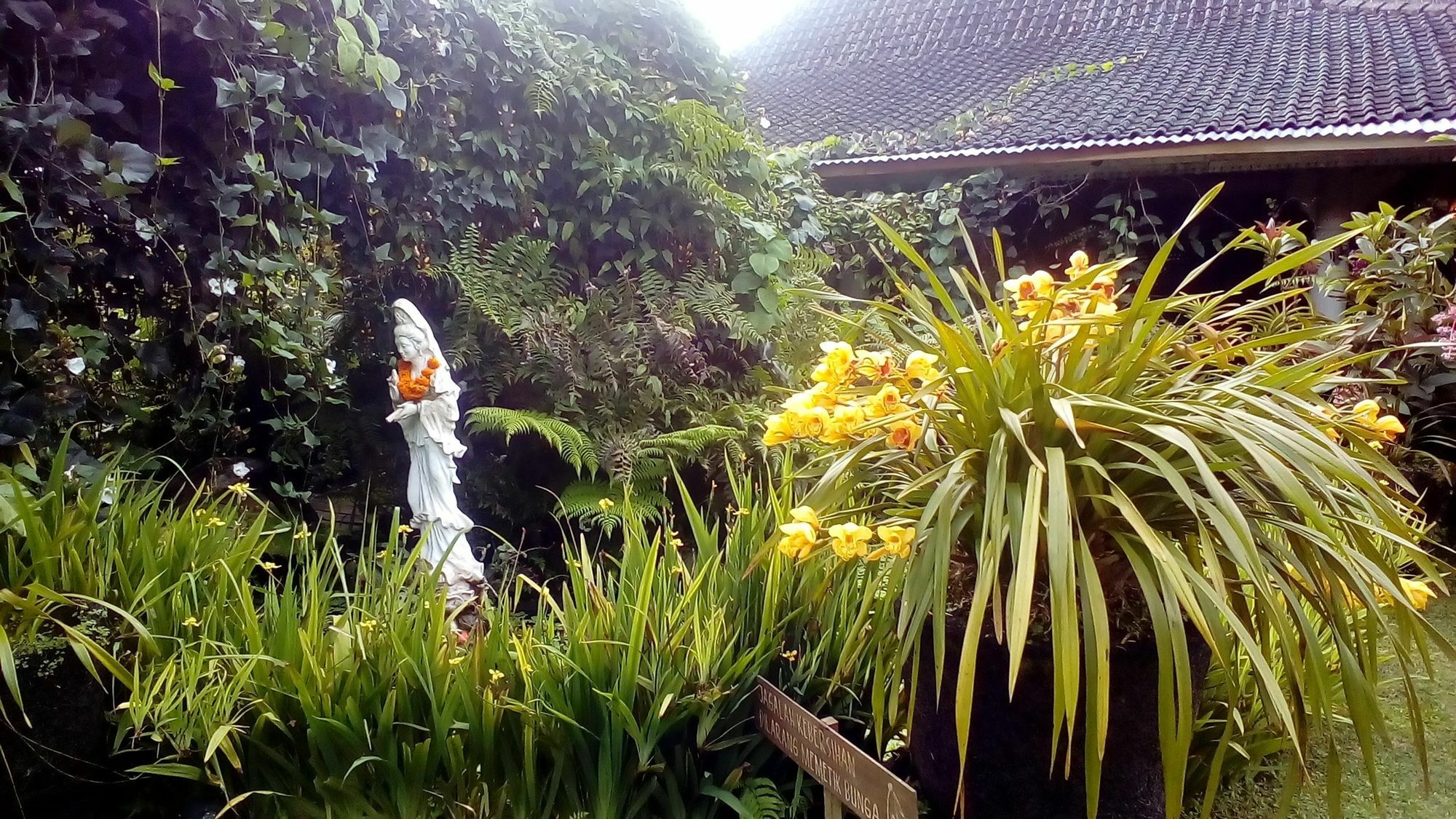 Warung Rekreasi Bedugul Hotel Luaran gambar